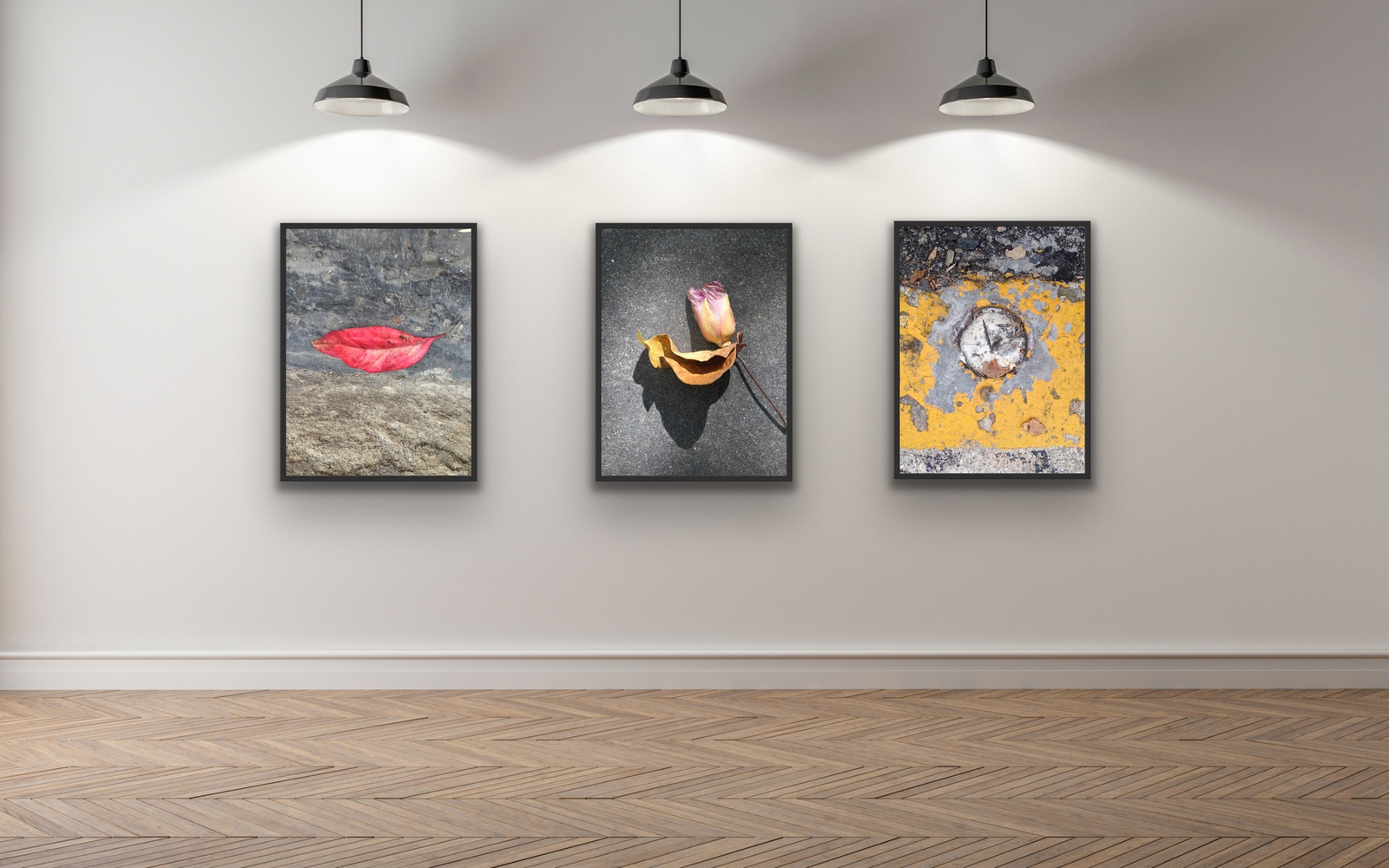 SDWLK ART prints displayed in a contemporary interior